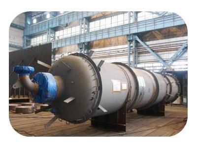 HYDROGENATION REACTOR