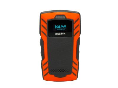 real time guard tour system 4G