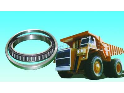 Heavy truck bearing