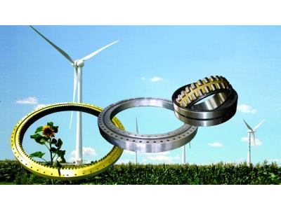 Wind power bearing