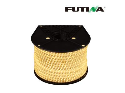 Futina outdoor decoration LED strip light