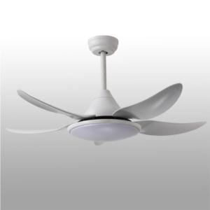 CEILING FAN WITH LIGHT