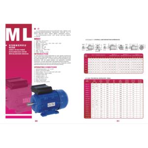 ELECTRIC MOTOR MOTOR ELECTRICO