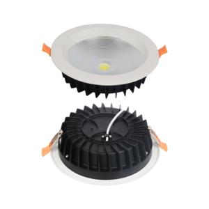 LED Down Light