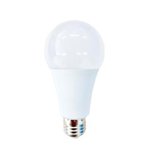 LED BULB
