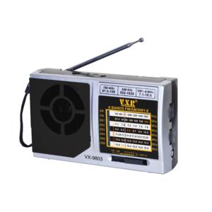 Portable multifunction radio