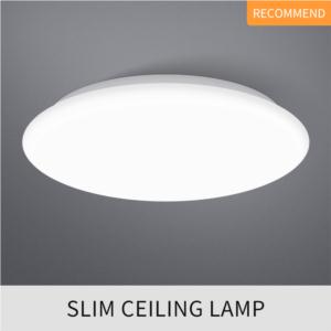 UITRA THIN CEILING LAMP
