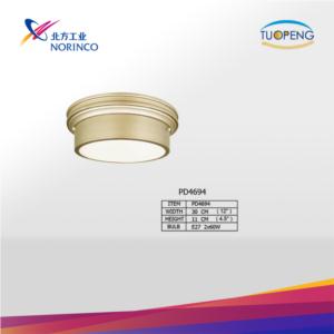 ceiling light