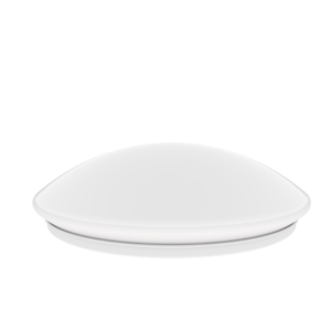 Ceiling Light