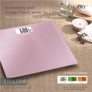 Electronic personal scale