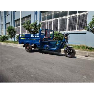 electric tricycle (GWSB-8)