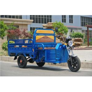 electric tricycle