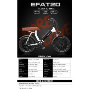 ALLOY E-BIKE