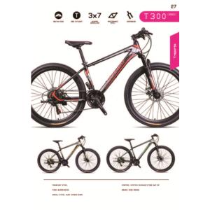 MOUNTIAN BIKE