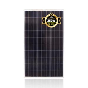 250W High Efficiency Polycrystalline Solar Panel Module