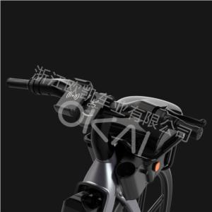 EB100 Electric Bike