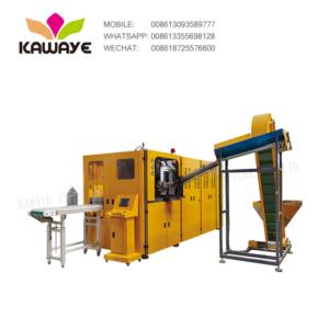 5L AUTOMATIC BOTTLE BLOWING MACHINE