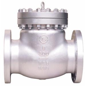 Class150WCB Swing Check Valve