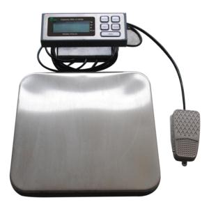 PIZZA SCALE