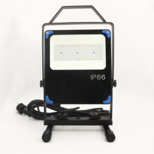 Portable optical flood light
