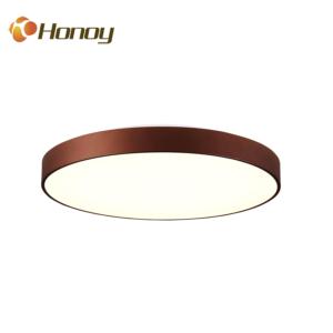 LED Smart Ceiling Lamp/ Pendant Lamp
