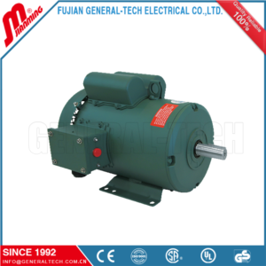Single Phase Rolled Steel TEFC Motors