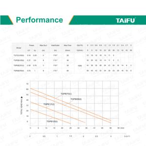 REVIVAL INTELLIGENT TGP WATER PUMP