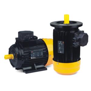 Y2/EY2 THREE PHASE CAST IRON MOTOR