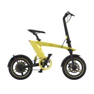 250WFoldable 14-inch Electric Bike-Battery removable