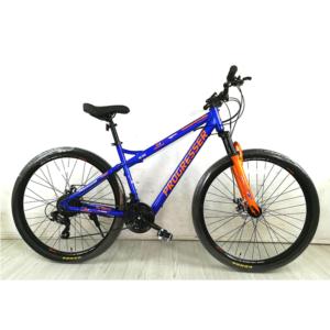 E-BIKE