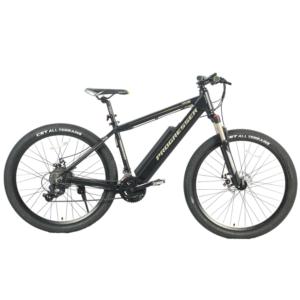 E-BIKE