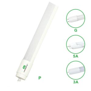 LED T8 TUBE