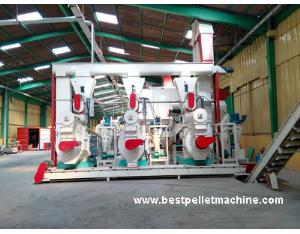 Small and Large Pellet Plant for Wood, EFB, etc.