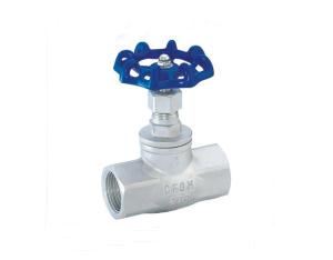 stainless steel globe valve npt end