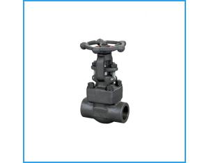 forged steel sw gate valve 800lb