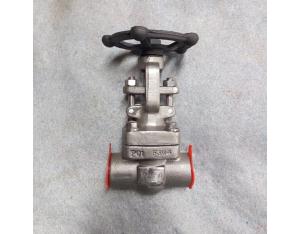 F304 forged gate valve npt end