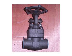 socket weld 800# globe valve