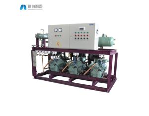 reciprocating compressor parallel unit cold room refrigeration unit
