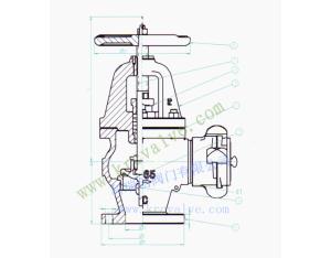 JIS MARINE ANGLE HOSE VALVE F7333B