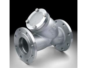 API Y type flange strainer