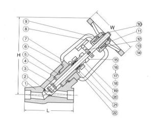 Y-pattern/Straight Through Globe Valve