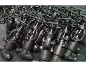 High Pressure/Pressure Seal Globe Valve