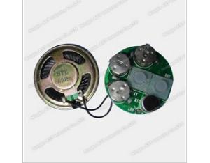 Recordable Sound Chip, Voice Chip, Music IC