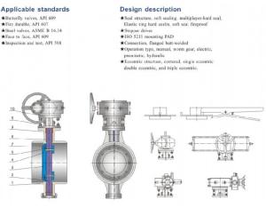 Eccentric Design/Hard Sealed Butterfly Valve