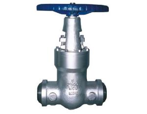 High Pressure/Pressure Seal Globe Valve