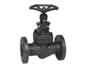 Forged Steel Globe Valve