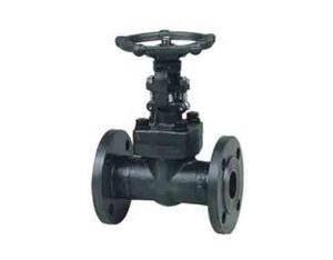 Forged Steel Gate Valve