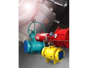 Trunnion Mounted Ball Valve