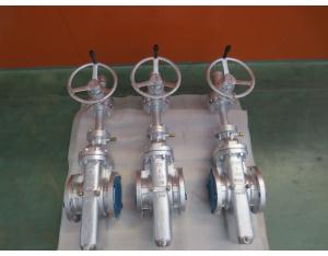 Gate Valve