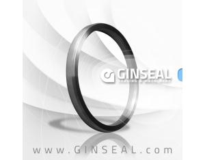 Oval ring joint gasket